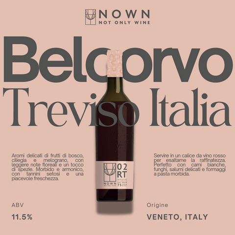 16 BELCORVO TREVISO ITALIA 11,5% Vino Sfuso NOWN - Not Only Wine