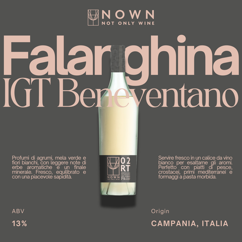 08 FALANGHINA IGT BENEVENTANO 13% Vino Sfuso NOWN - Not Only Wine