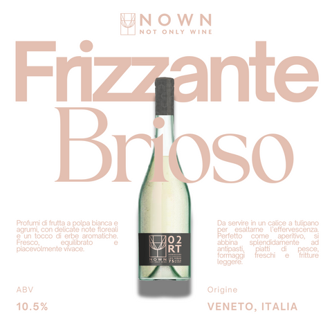 01 FRIZZANTE BRIOSO 10.5% Vino Sfuso NOWN - Not Only Wine